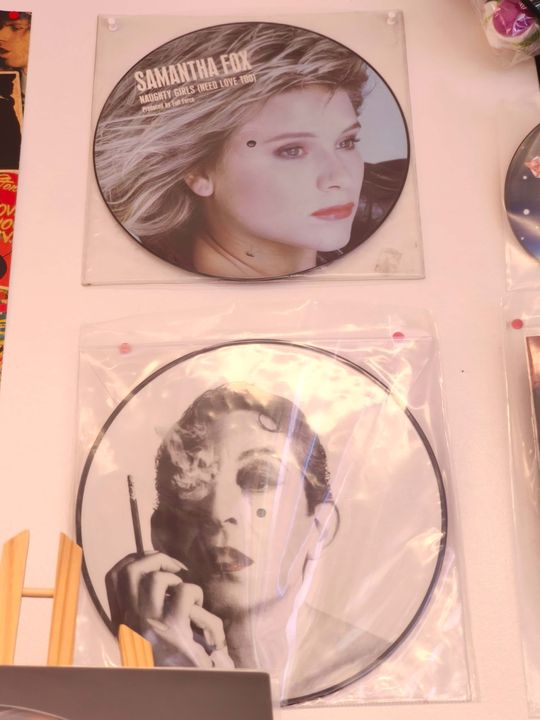 Picture discs collector pr\u00e8s de Saint-Aignan